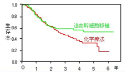 生存率グラフ