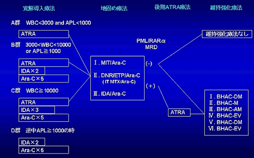 JALSG APL-97 Study